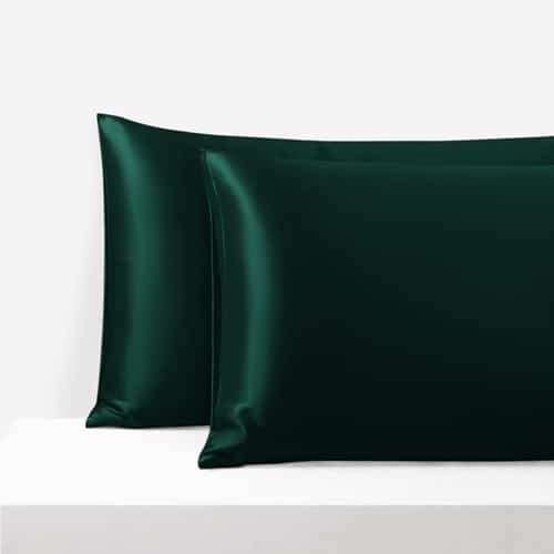 Murberry Silk Pillowcase with Zipper, 22 Momme, 50×70